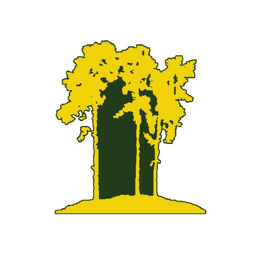 Swinley Forest